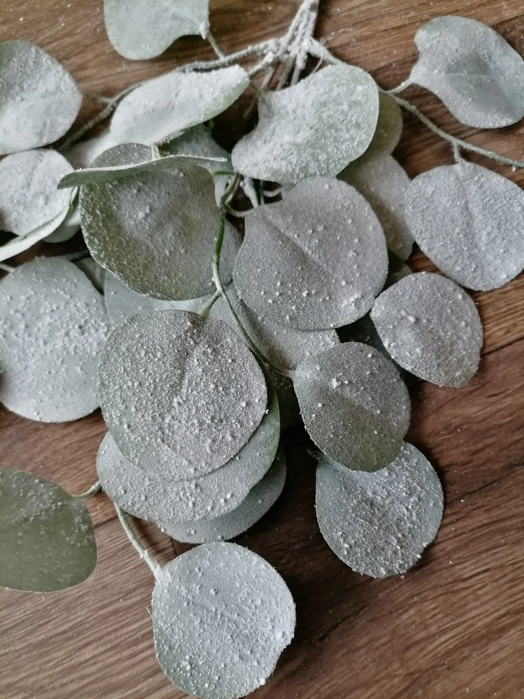 Konárik eukalyptus 35cm