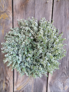  veniec eukalyptus 35cm