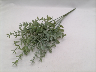 Konárik eukalyptus 40cm
