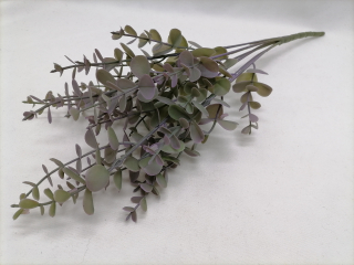 Konárik eukalyptus 40cm