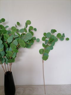 Konárik eukalyptus 90cm