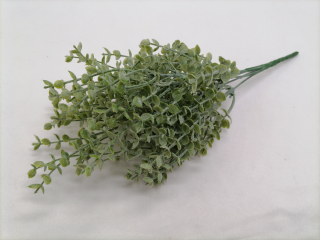 Konárik eukalyptus 35cm