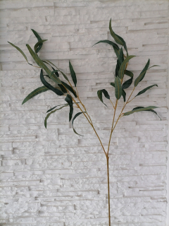 Konárik eukalyptus 40cm