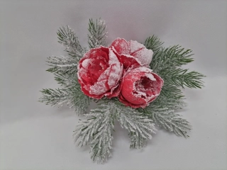 Ranculus s čečinkou na štipci zasnežený