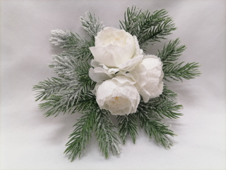 Ranculus biely s čečinkou na štipci zasnežený