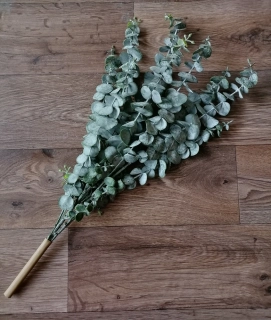Konárik eukalyptus poprášený 57cm